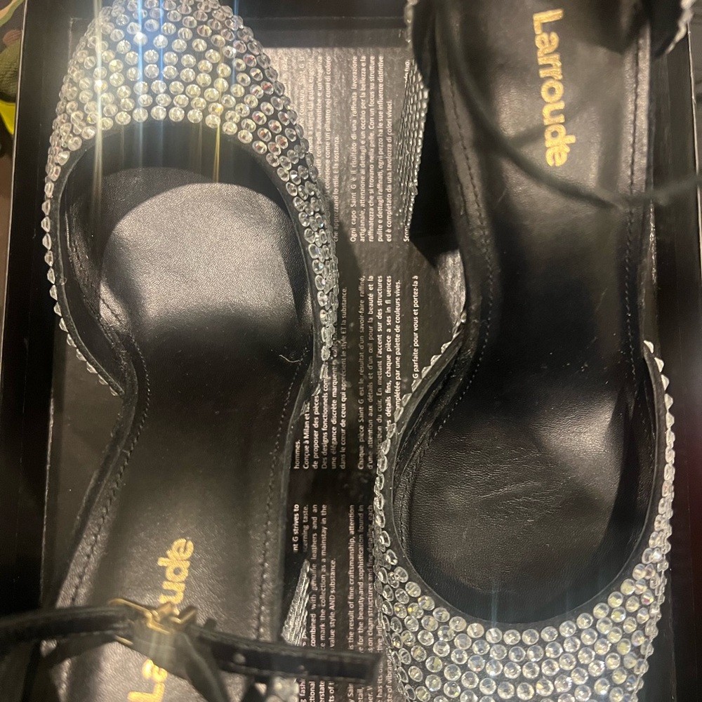 Larroude pumps